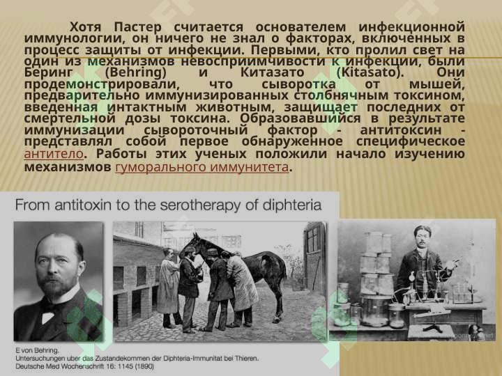 Введение в иммунологию 8