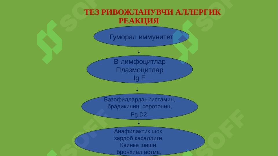 Аллергияга карши воситалар. Иммун тизимга таъсир этувчи воситалар 3