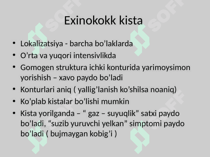 Exinokokk kista 2
