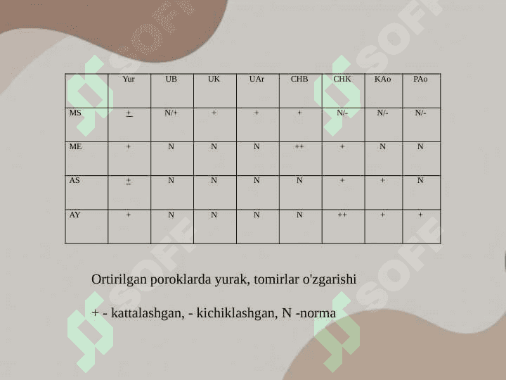 YURAK VA QON-TOMIRLAR KASALLIKLARI NUR TASHXISI 3