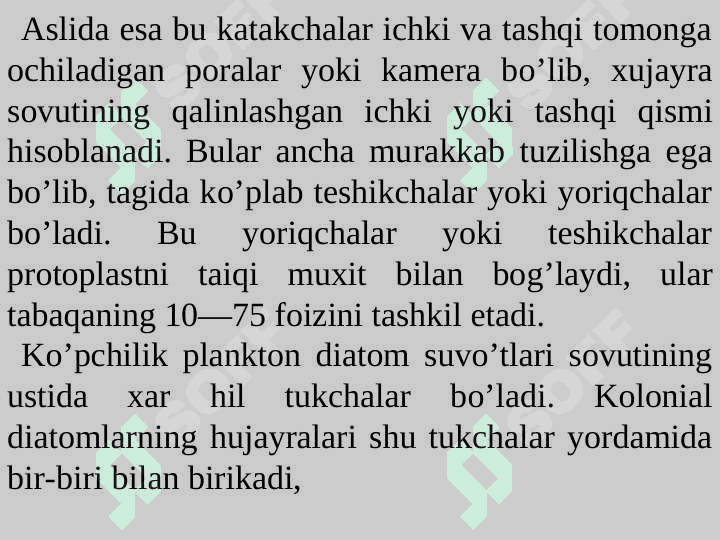 Diatom suvo'tlar bo'limi 8