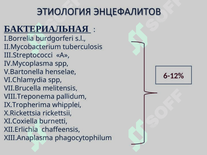 ЭНЦЕФАЛИТЫ 6