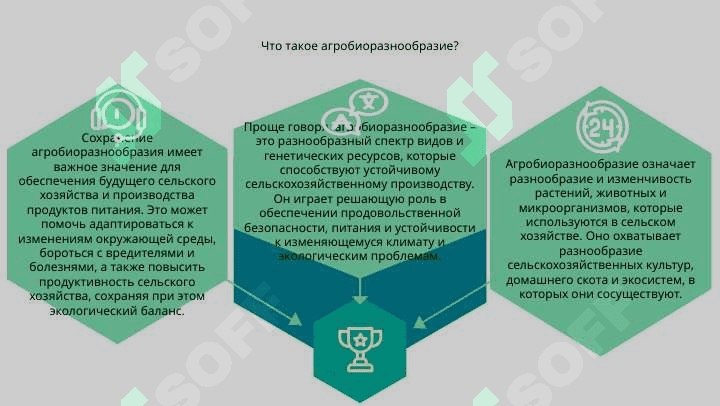 Агробиоразнообразие. 2