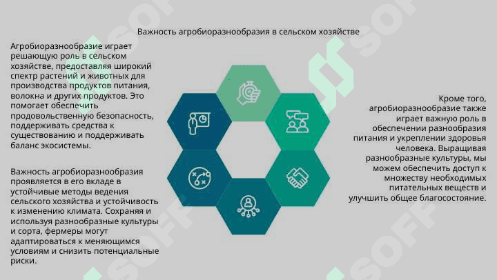 Агробиоразнообразие. 3