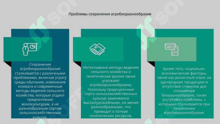 Агробиоразнообразие. 4