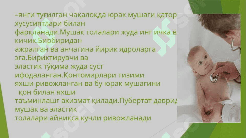 Болалар  Юрак  Қон Томир  Тизимининг АнатомикФизиологик Хусусиятлари 4