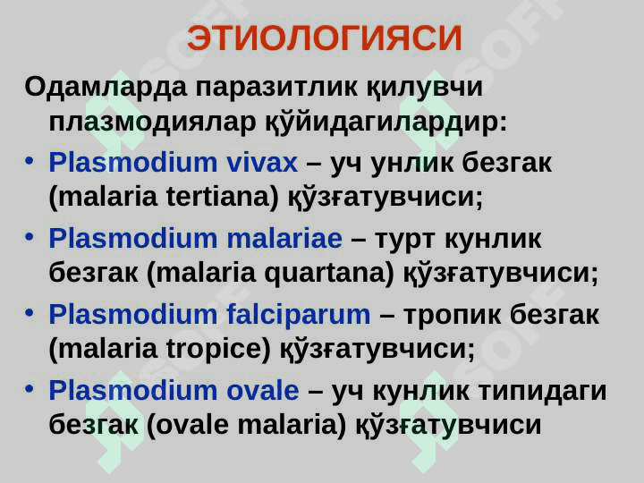 БЕЗГАК (МАЛЯРИЯ, MALARIA) 4