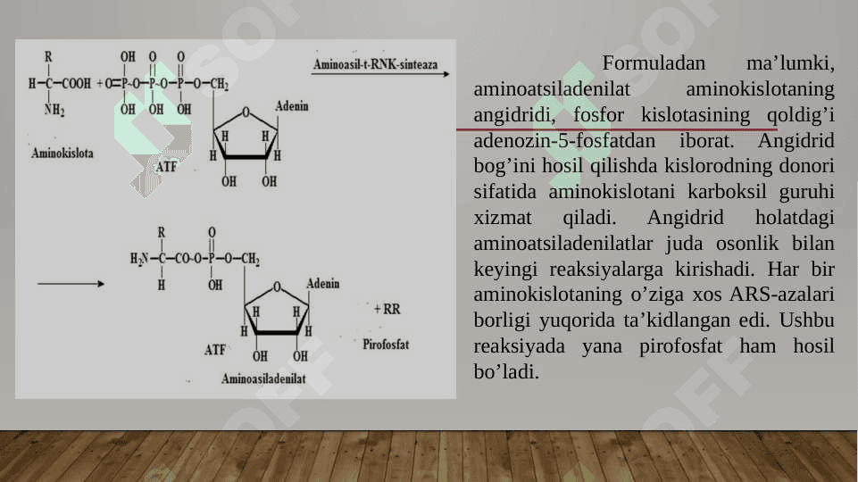 OQSILLAR BIOSINTEZI 8