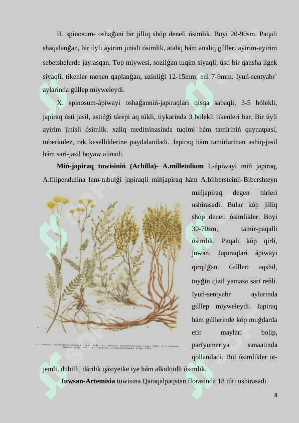 Darilik  qásiyetlerine  iye  bolǵan Quramalı gúlliler tuqımlası  wákilleri 8