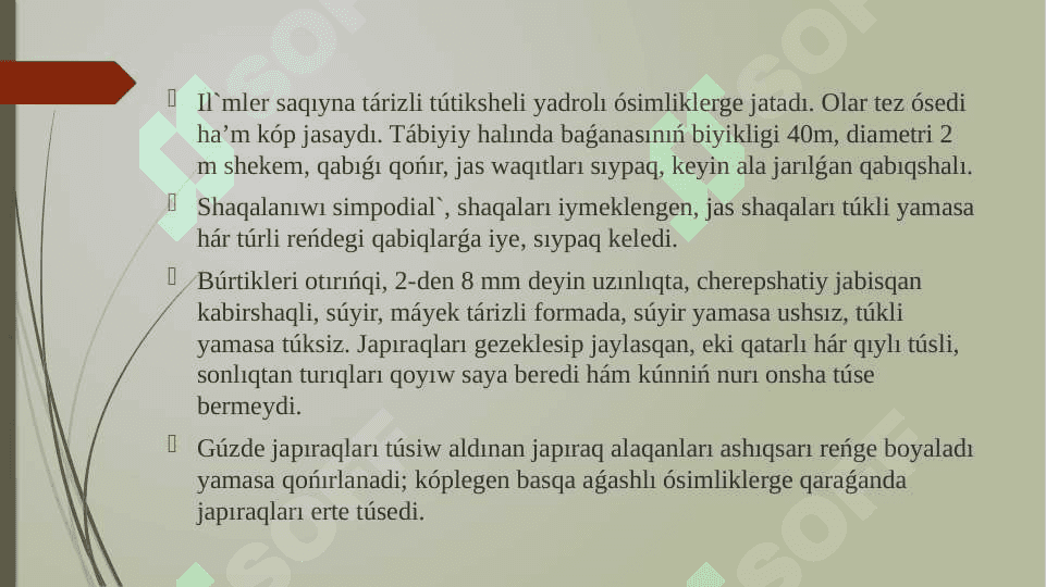 «Qaraqalpaqstanda Ulmaceae L., tuqimlası wákilleriniń  biologiyasın úyreniw hám onı mektep oqıwshılarına úyretiw» 6