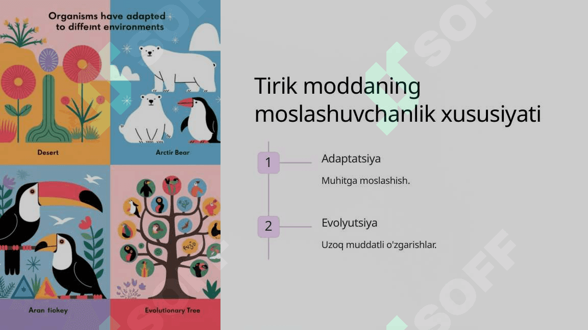 Biosferadagi tirik moddaning xususiyatlari va funksiyalari 7