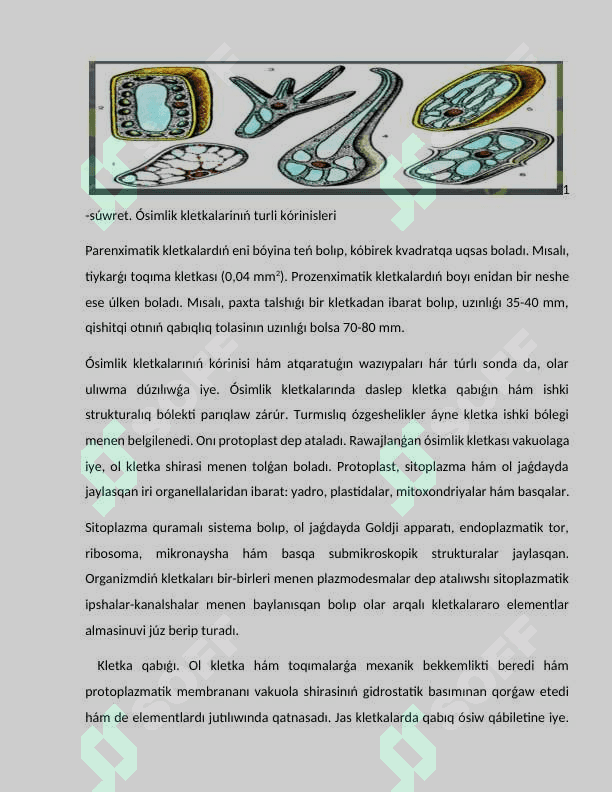 Ósimlikler kletkasinıń ximyalıq qurami 6