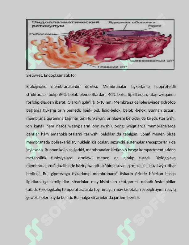 Ósimlikler kletkasinıń ximyalıq qurami 8