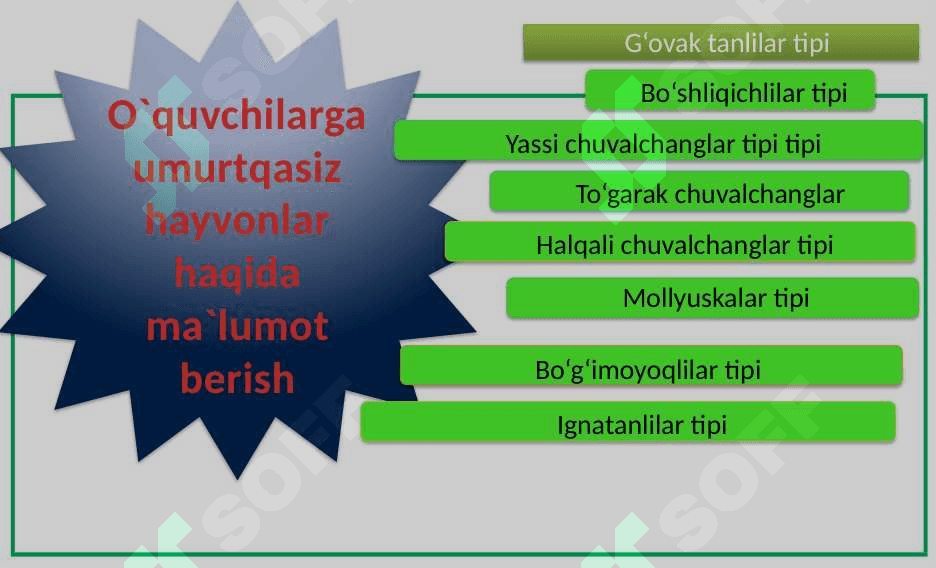 ,,Umurtqasiz hayvonlarning xilma-xilligi`` mavzusida 1-soatlik dars uchun taqdimoti 3
