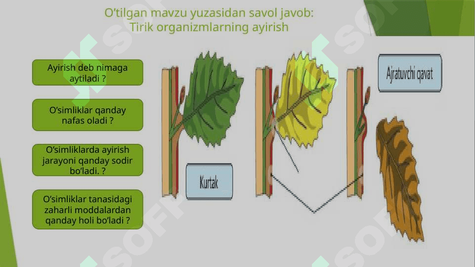 Tirik organizmlarning tasirlanishi 2