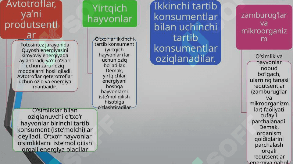 EKOSISTEMALARDA ENERGIYA OQIMI 3