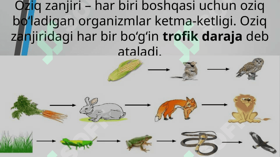 EKOSISTEMALARDA ENERGIYA OQIMI 4