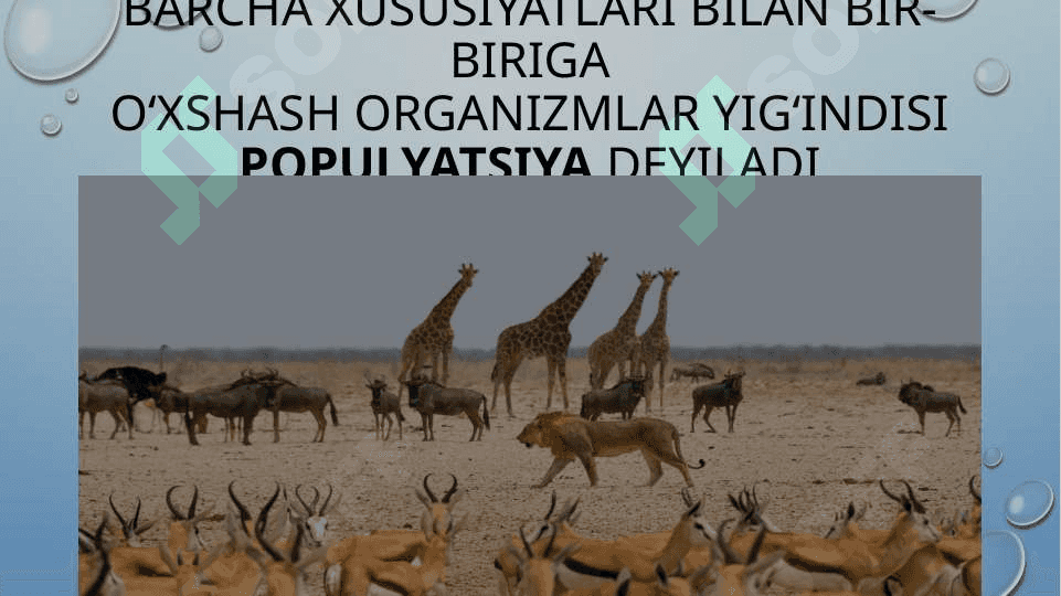 EKOSISTEMALARDAGI O‘ZARO MUNOSABATLAR 4