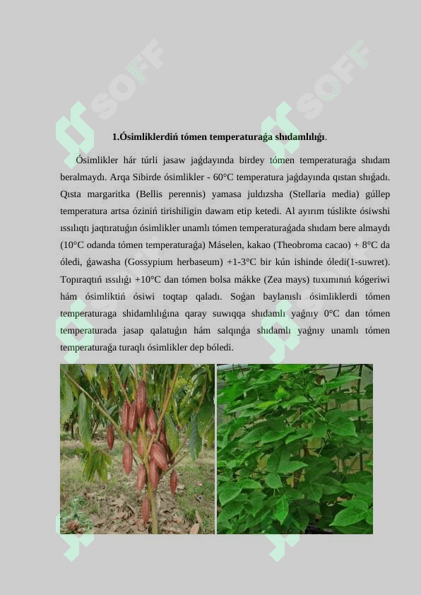 Temperaturanıń ózgeriwinıń ósimliklerge tásiri. 4