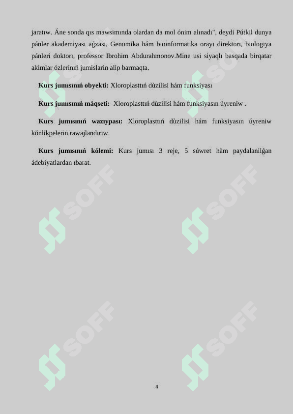 Xloroplasttıń dùzilisi hám funksiyası 4
