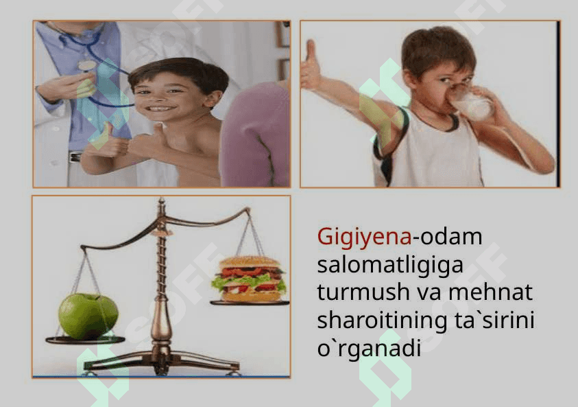 Tibbiyot fanining rivojlanish tarixi 8