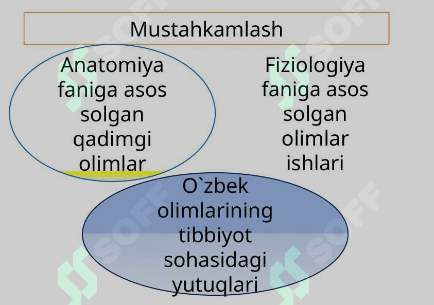Odam organizmining hujayraviy tuzilishi 3