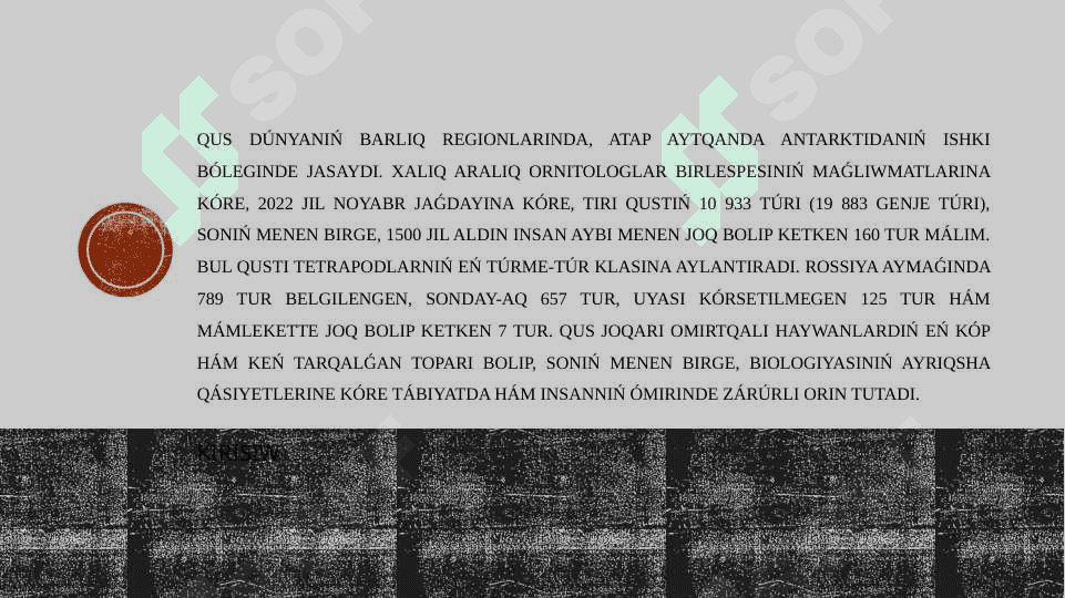 Quslardıń ushıwǵa maslasıw belgileri, ushıw túrleri 3