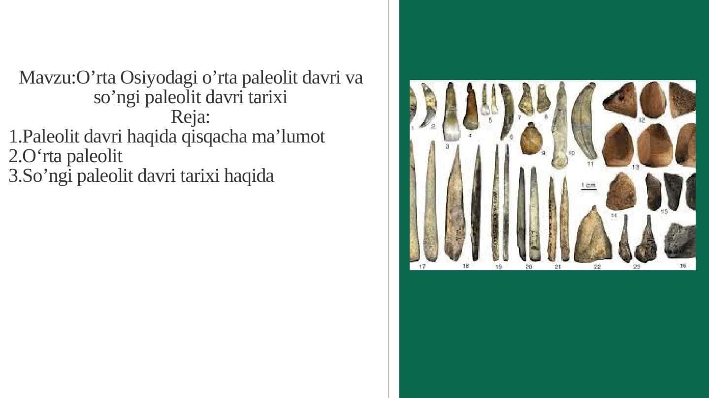 O’rta Osiyodagi o’rta paleolit davri va so’ngi paleolit davri tarixi
