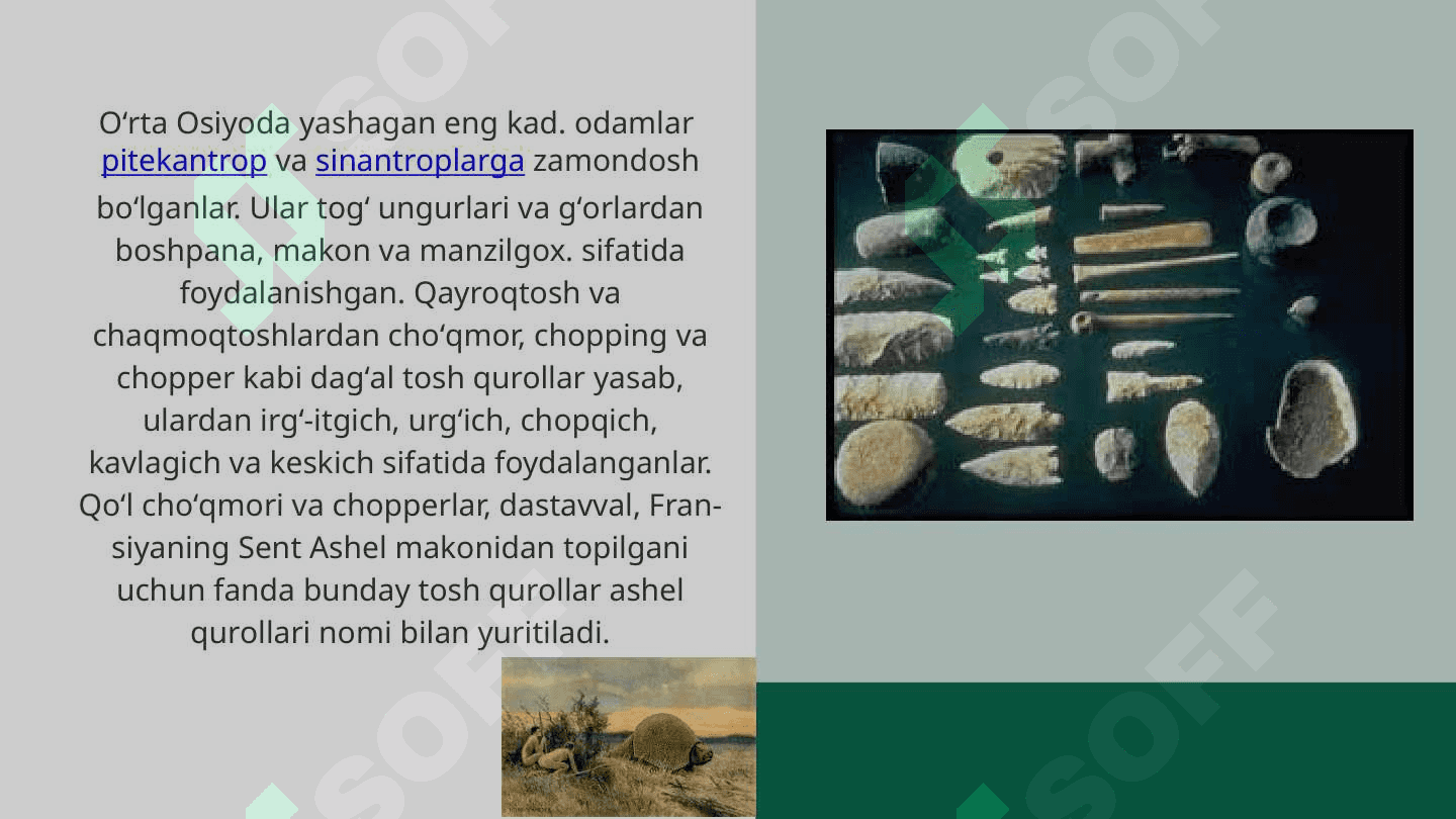 O’rta Osiyodagi o’rta paleolit davri va so’ngi paleolit davri tarixi 5