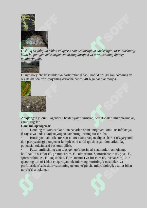 O’SIMLIKLAR TIZIMLI IMMUNIZATSIYASI VA UNING  MEXANIZMLARI 3