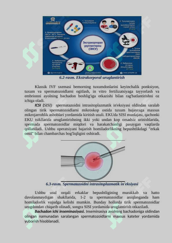 Yangi reproduktiv texnologiyalarni ahloqiy muammolari 3