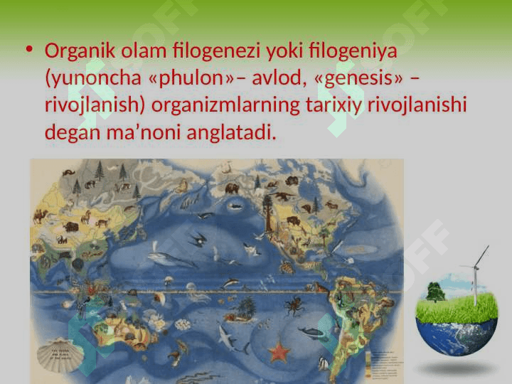 Organik olam filogenezining umumiy tavsifi 2
