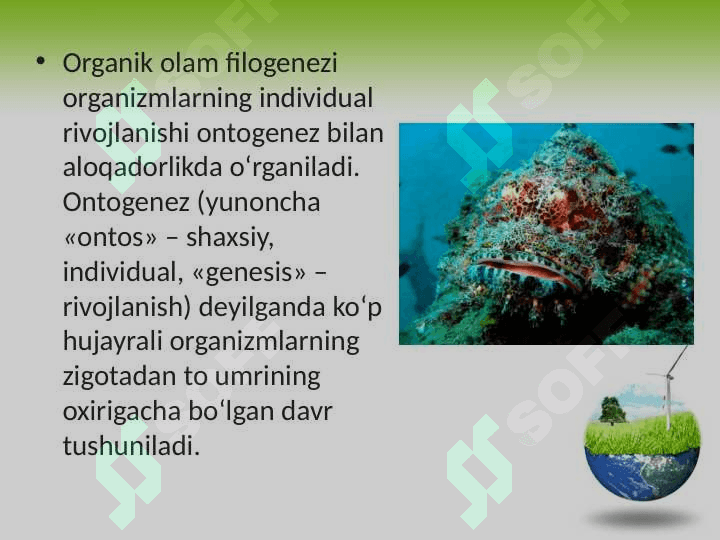Organik olam filogenezining umumiy tavsifi 3