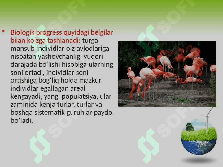 Organik olam filogenezining umumiy tavsifi 4