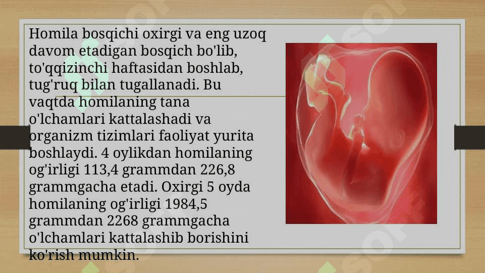Ontogenezning ilk bosqichlari 3