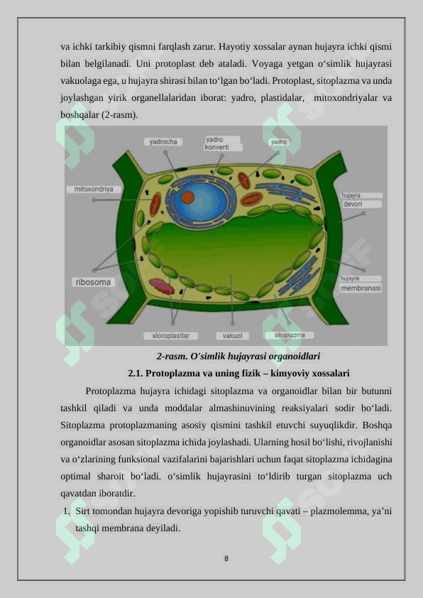 O’simlik hujayrasining tuzilishi 8