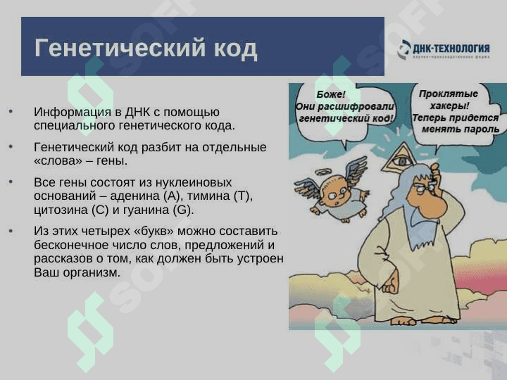 Обыкновенное чудо генетики 3