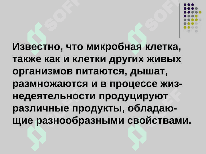 Физиология микроорганизмов: питания, дыхания, рост,  размножения и продукты жизнедеятельности 3