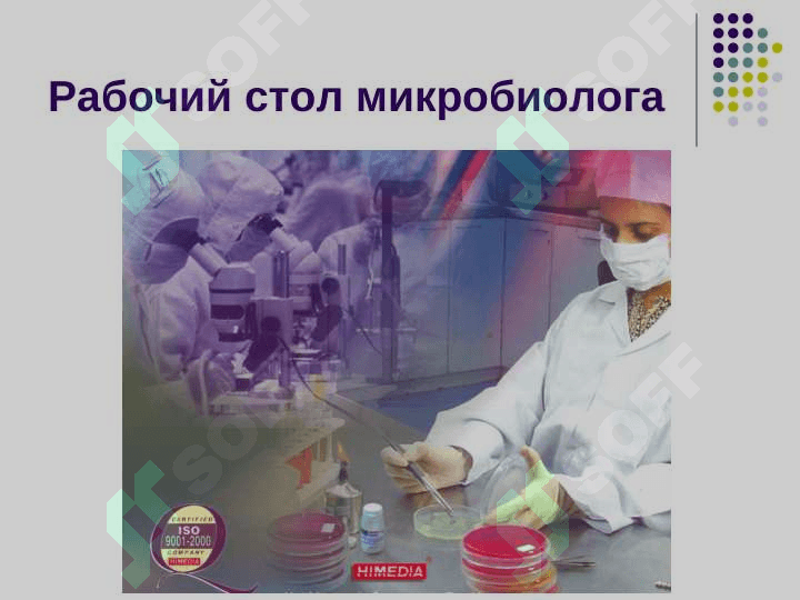 Физиология микроорганизмов: питания, дыхания, рост,  размножения и продукты жизнедеятельности 4