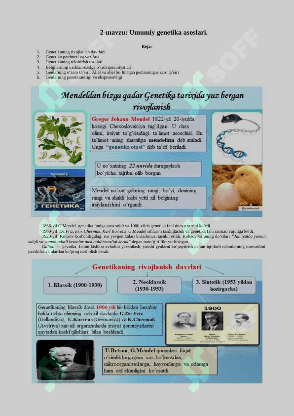 Tibbiy biologiya Majmua BDTI 239 bet Ma’ruzalar matni 8
