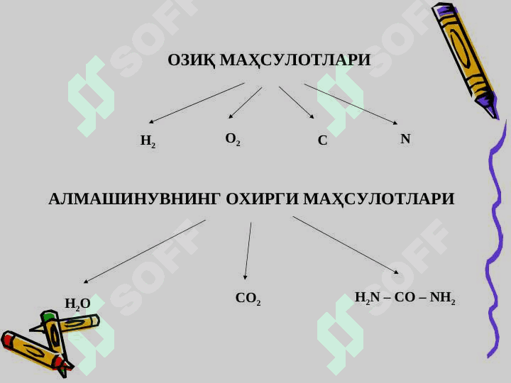 МОДДАЛАР АЛМАШИНУВИГА КИРИШ БИОЛОГИК МЕМБРАНАЛАР 4