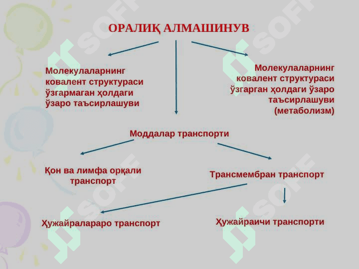 МОДДАЛАР АЛМАШИНУВИГА КИРИШ БИОЛОГИК МЕМБРАНАЛАР 5