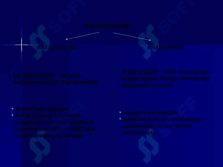 МОДДАЛАР АЛМАШИНУВИГА КИРИШ БИОЛОГИК МЕМБРАНАЛАР 6