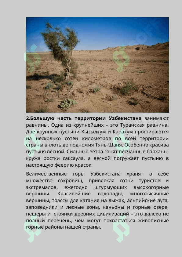 Природа в узбекистане. 4