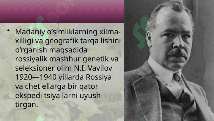 O'simliklarning kelib chiqish tarixi va organlarning paydo bo'lishi 4