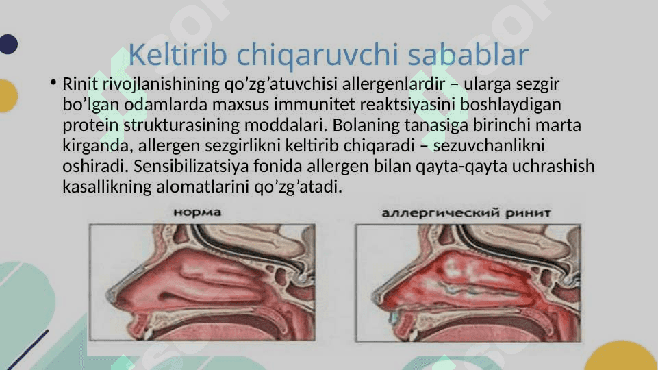 BOLALARDA ALLERGIK RINIT 5
