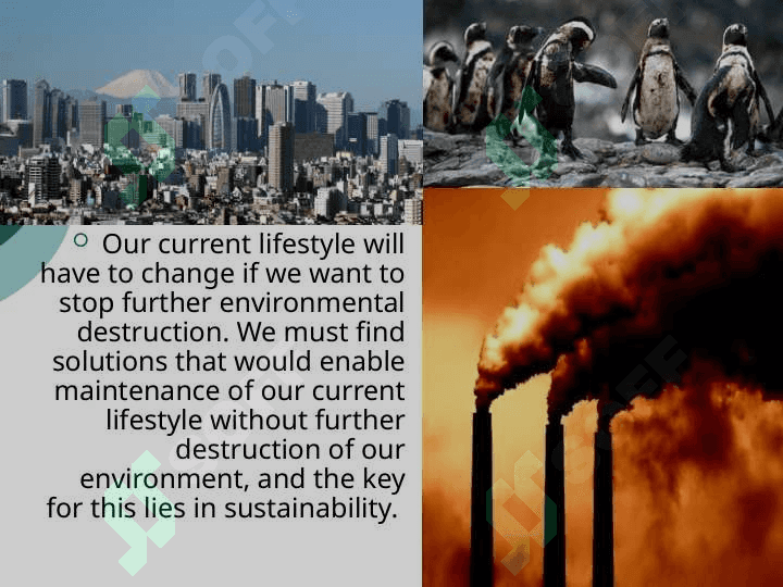 Ecological problems 4