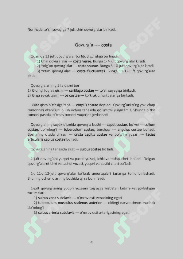 Anatomiya qo'llanma tushunarli osonlashtirilgan varianti 6