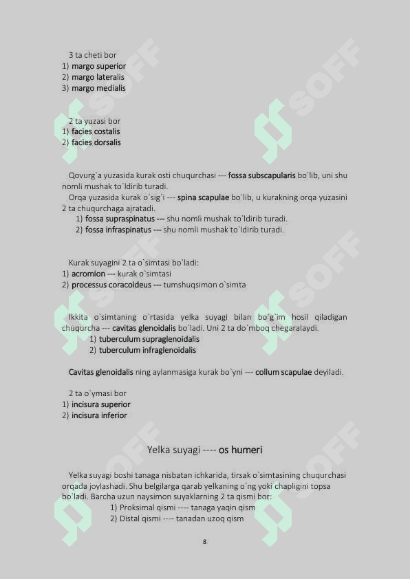 Anatomiya qo'llanma tushunarli osonlashtirilgan varianti 8