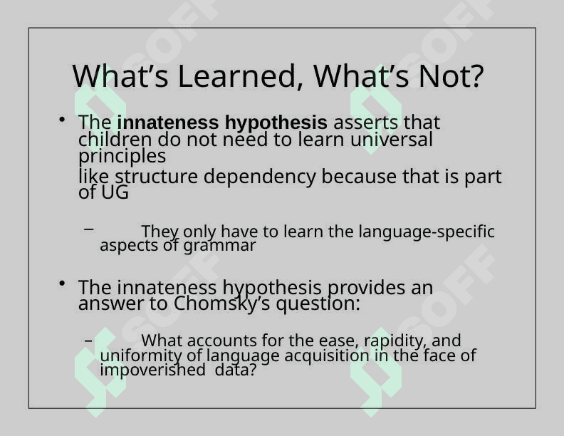 language acquisition.ppt 3